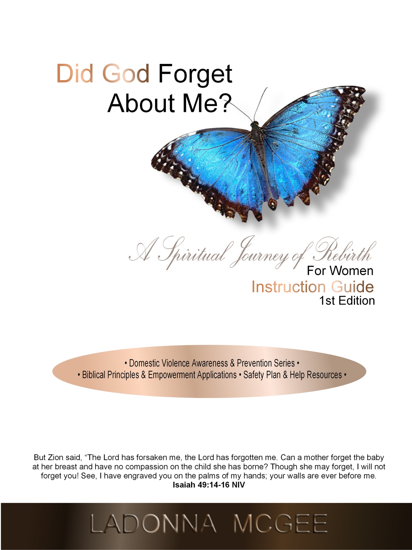 Pre-Order (Available Soon) Did God Forget About Me? Domestic Violence Awareness & Prevention Series for Christian Women Instructor Guide Available in Paperback or Ebook Format