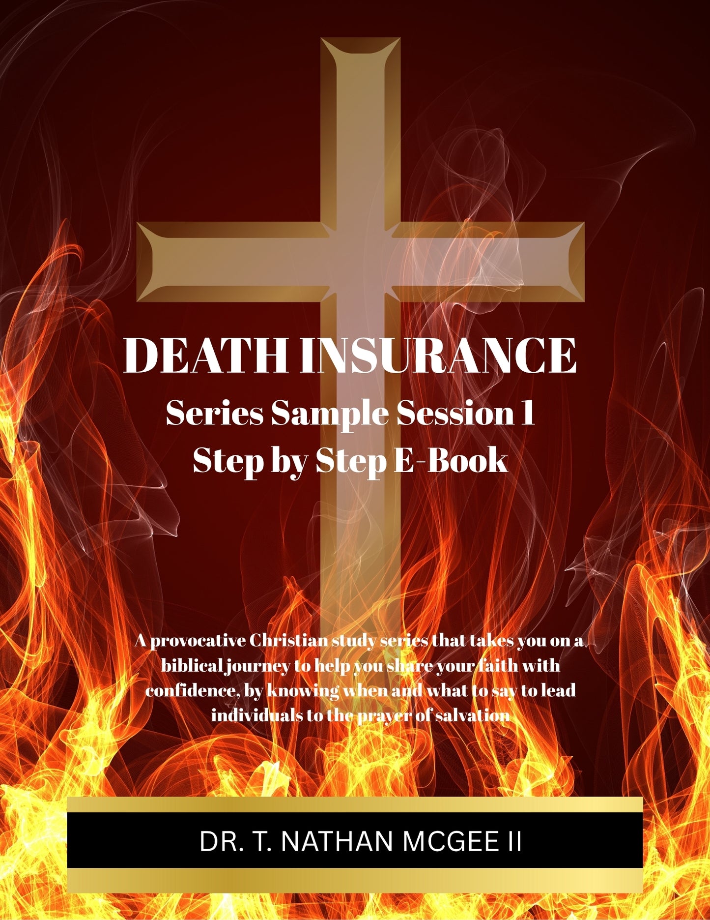 Obtain Your FREE SAMPLE EBOOK OF THE DEATH INSURANCE SERIES
