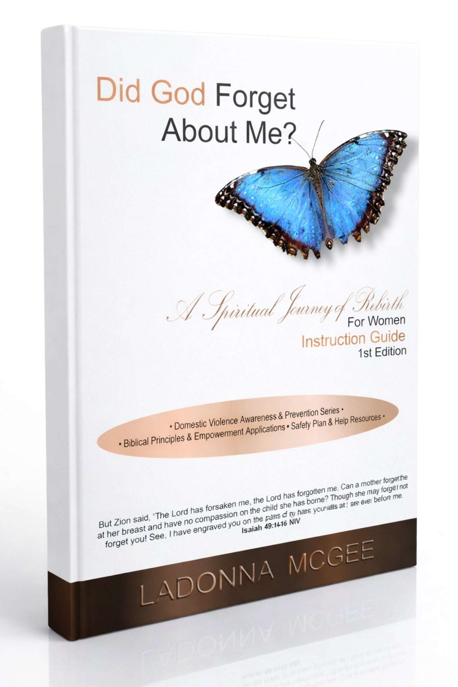 Domestic Violence Prevention Bible Study Series