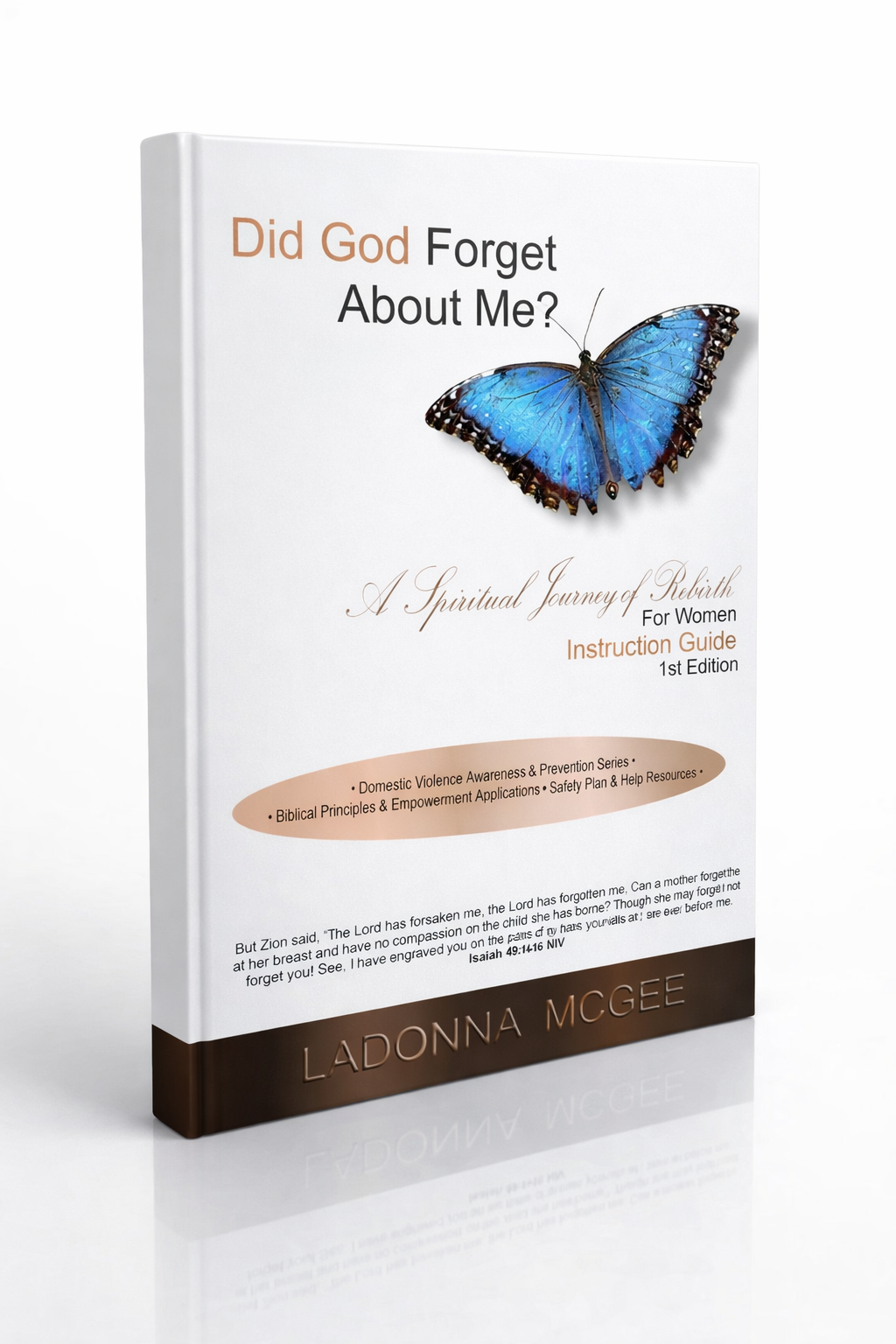 Pre-Order (Available Soon) Did God Forget About Me? Domestic Violence Awareness & Prevention Series for Christian Women Instructor Guide Available in Paperback or Ebook Format