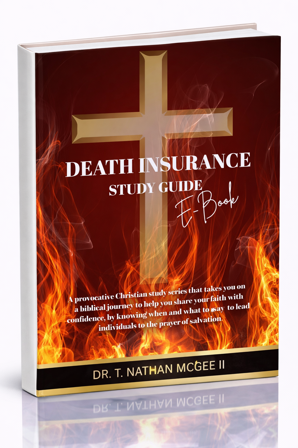 FREE SAMPLE EBOOK OF THE DEATH INSURANCE SERIES (See Inside Pages Below)