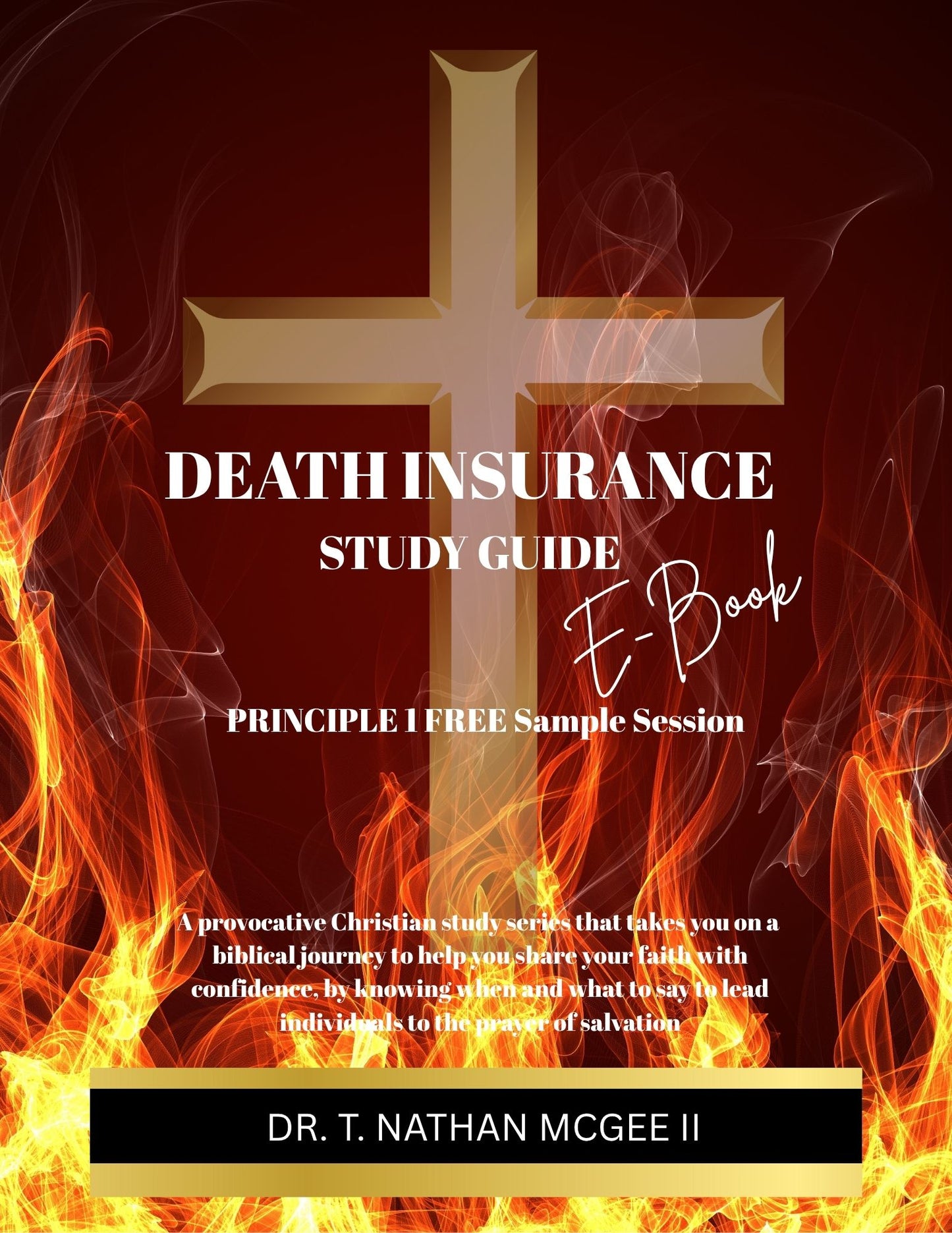 FREE SAMPLE EBOOK OF THE DEATH INSURANCE SERIES (See Inside Pages Below)