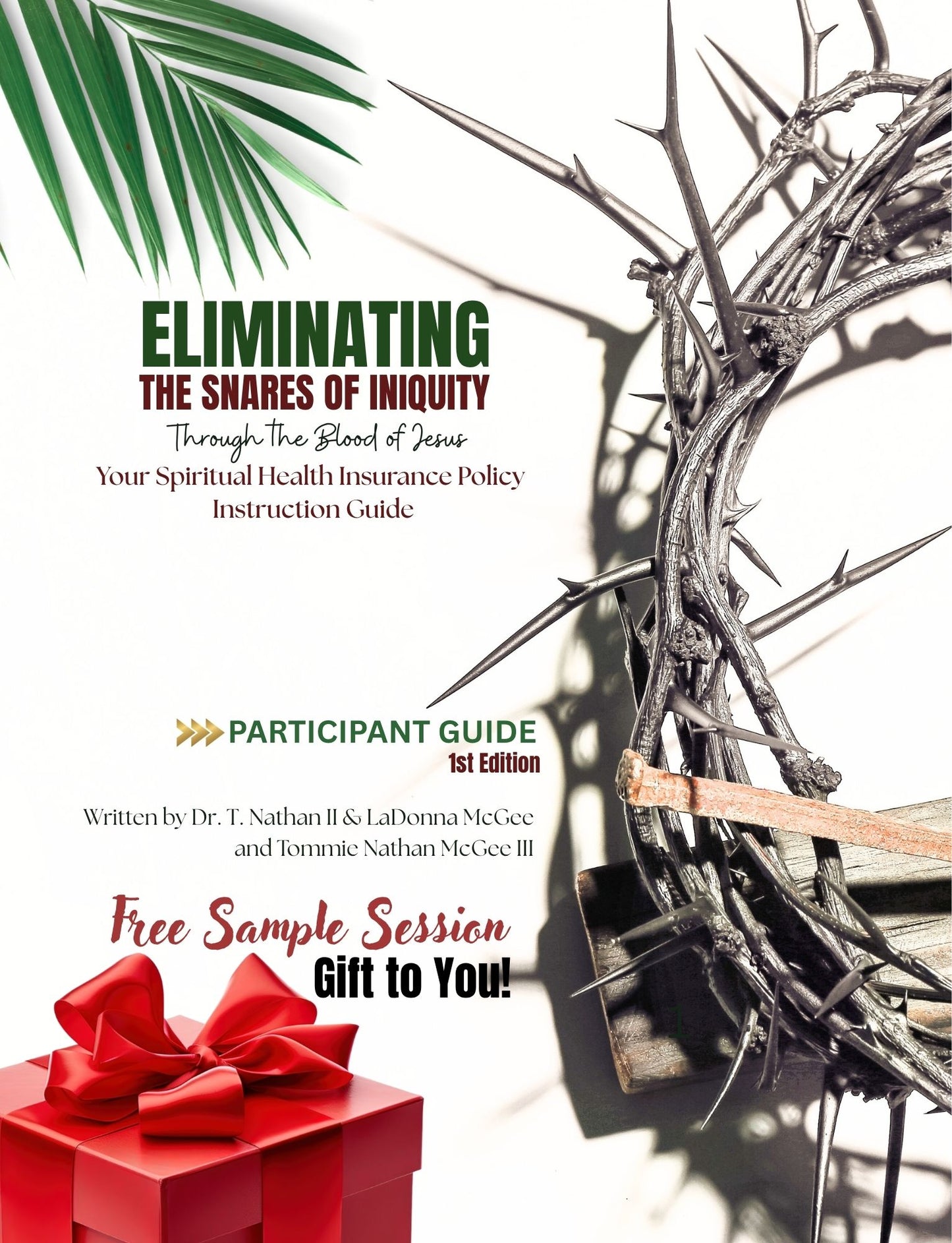 Eliminating the Snares of Iniquity Study Series Available in Paperback and Ebook Format