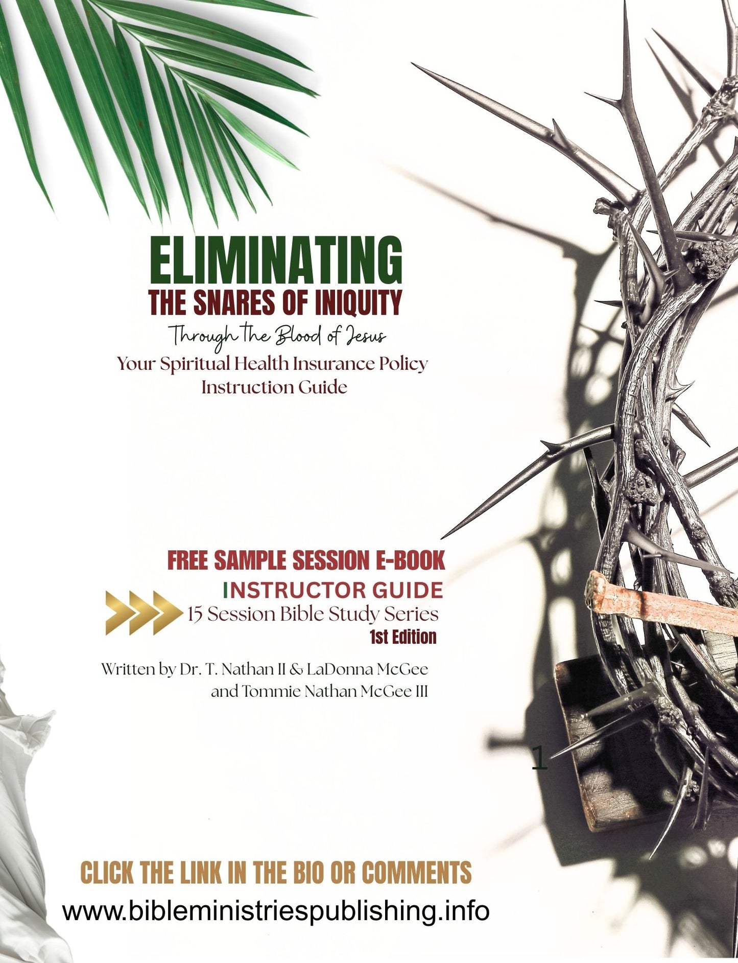 Eliminating the Snares of Iniquity Study Series Available in Paperback and Ebook Format